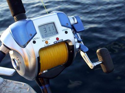 carp - 1185004515461465203895543577347n.jpg